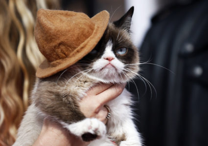 Grumpy cat arrives at the 2014 MTV Movie Awards in Los Angeles, California. Photo by Danny Moloshok/Reuters