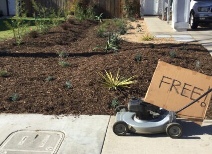 Dennis How said he tore up his traditional lawn in Camarillo, California to create a "critter friendly" environment and to foster a diverse landscape. He said it was a "happy and proud day" when he got rid of his mower. Photo by Dennis How