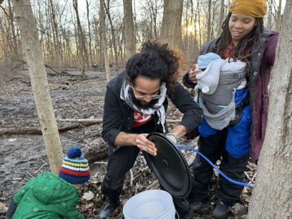 Two people in the woods tapping sugar maple tree to collect sap to make maple syrup in Detroit's Rouge Park.